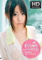 大香蕉国产成人,揭秘国内成人影视产业的崛起与挑战